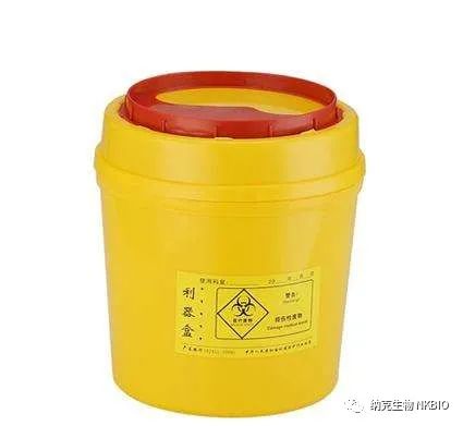 1692169305496340.jpeg 1692169305496340.jpeg