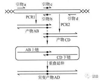 1700532768127215.png 6.png