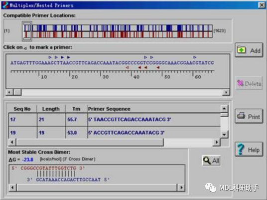 1702524312622576.png 9.png